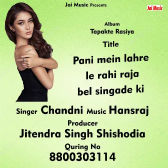 Pani mein lahre le rahi raja bel singade ki (Hindi Song) by Chandni