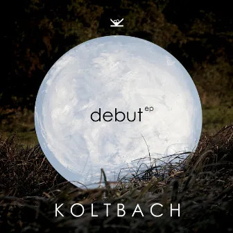 Debut by Koltbach