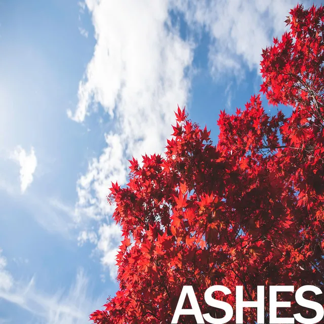 Ashes