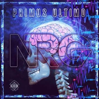 Nrg by Primus Ultimo