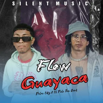 Flow Guayaca by Unknown Artist