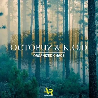 Organized Chaos by K.O.D