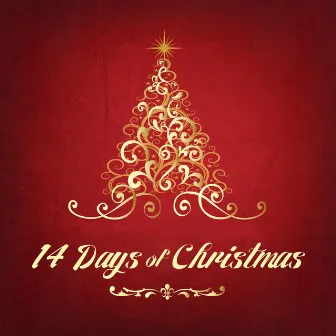 14 Days of Chrismtas, Pt. 1 by FacNos Holiday