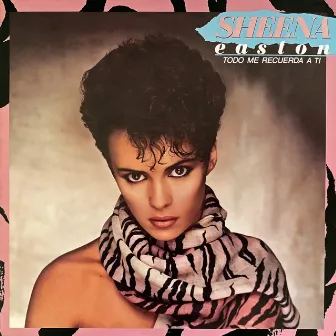 Todo Me Recuerda a Ti by Sheena Easton