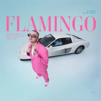 Flamingo by Sir Mich