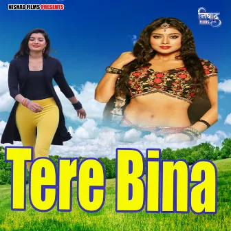 Tere Bina h by Alam Khan