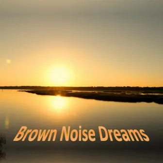 Brown Noise Dreams (Pure Brown Noise and Ambient Combinations, including Clothes Dryers, Waterfalls, Crickets) by White Noise Society