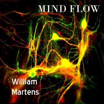 Mind Flow by William Martens