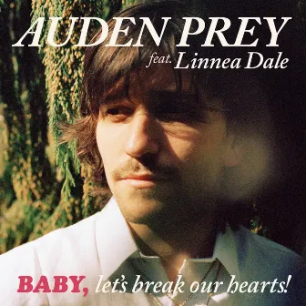 Baby, Let's Break Our Hearts by Auden Prey