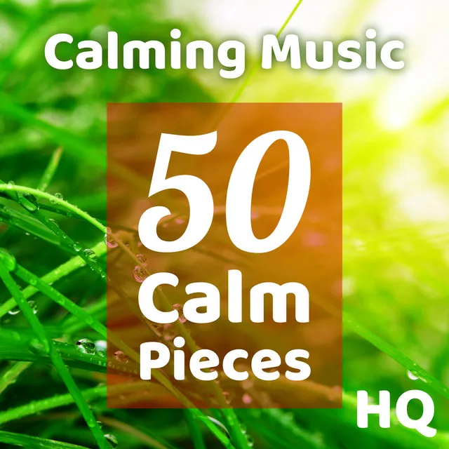 Calming Music