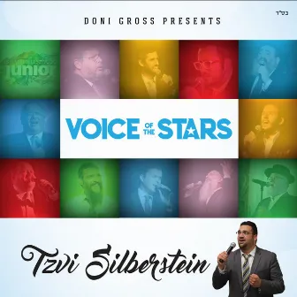 Voice of the Stars by Tzvi Silberstein