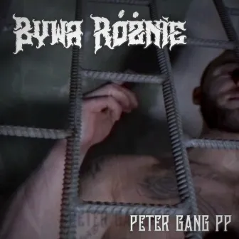 Bywa różnie by Peter Gang PP