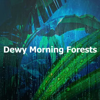 Dewy Morning Forests by Ambiente Forestal