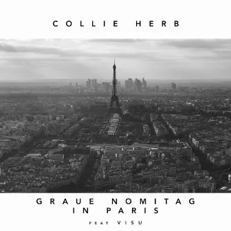 Graue Nomitag in Paris by Collie Herb