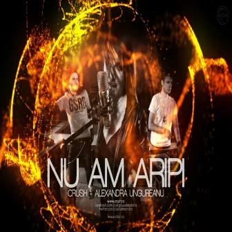 Nu am aripi (Radio Edit) by Crush