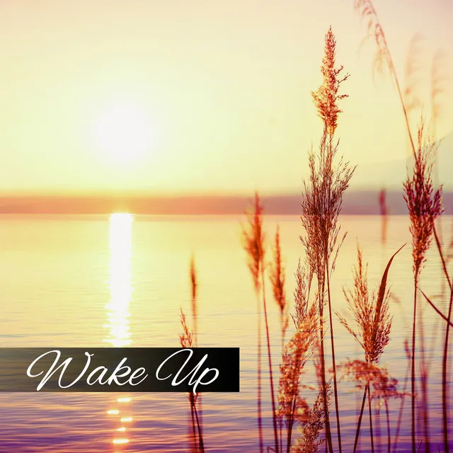 Wake Up - Early Morning, Calming Music, Relaxing New Age, Body Energy, Serenity Music, Nature Sounds