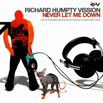 Never Let Me Down by Richard 'Humpty' Vission