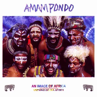 An Image of Africa by Amampondo