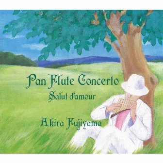 Pan Flute Concerto - Ai no Aisatsu - by Unknown Artist