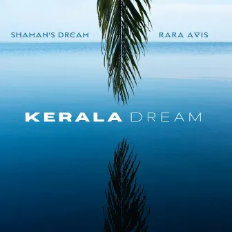 Kerala Dream by Shaman's Dream