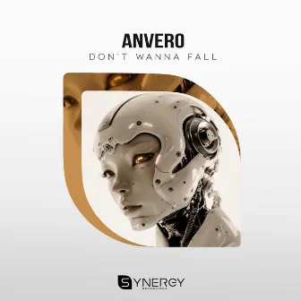 Don't Wanna Fall by Anvero