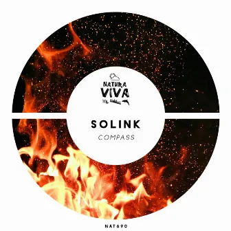 Compass by Solink