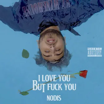 I Love You but Fuck You by Nodis