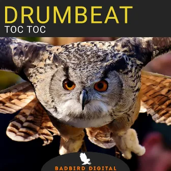 Toc Toc by DrumBeat