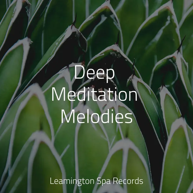 Meditating Music