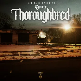 Thoroughbred by Swurve