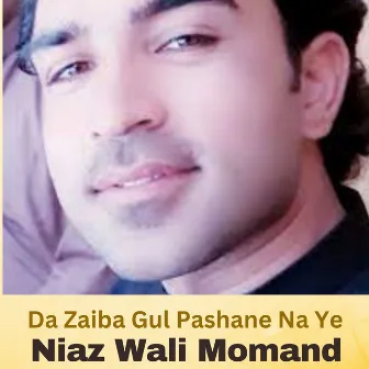 Da Zaiba Gul Pashane Na Ye by Niaz Wali Mohmand