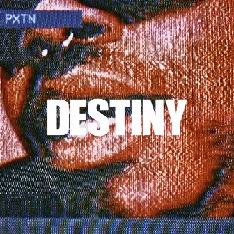 DESTINY by PXTN