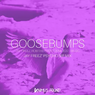 Goosebumps (Jay Freez' Psycho VIP Mix) by Jay Freez