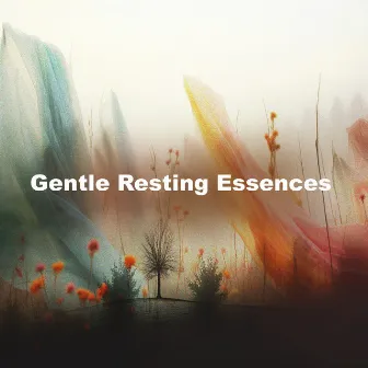 Gentle Resting Essences by Natures Rest