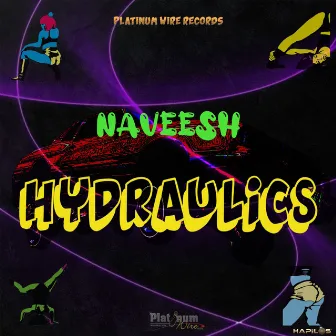 Hydraulics by Naveesh