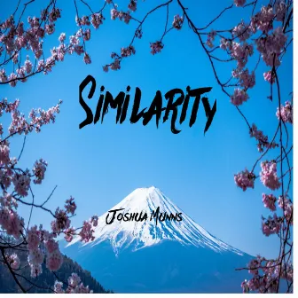 Similarity by Joshua Munns