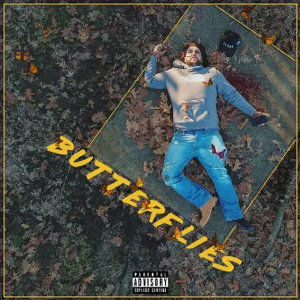 Butterflies by Frank Staxx