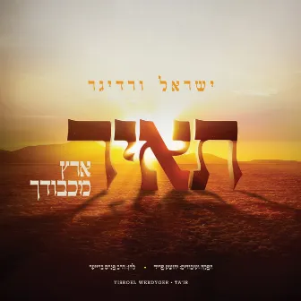 Ta'ir by Yisroel Werdyger