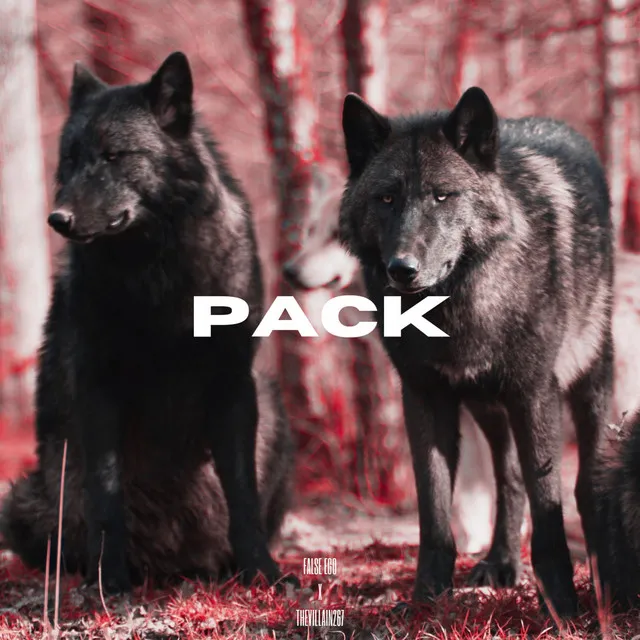 PACK