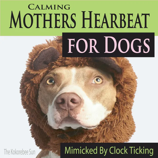 Rythmic Heartbeat for Dogs Relaxation