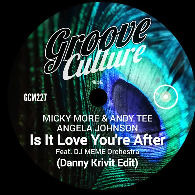 Is It Love You're After - Danny Krivit 12" Edit Cut