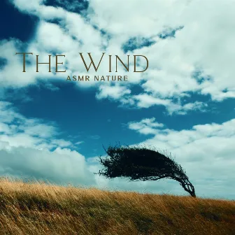 The Wind: ASMR Nature, Ambient Music, to Help You Unwind by ASMR Zone