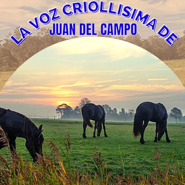 La Voz Criollísima de Juan del Campo