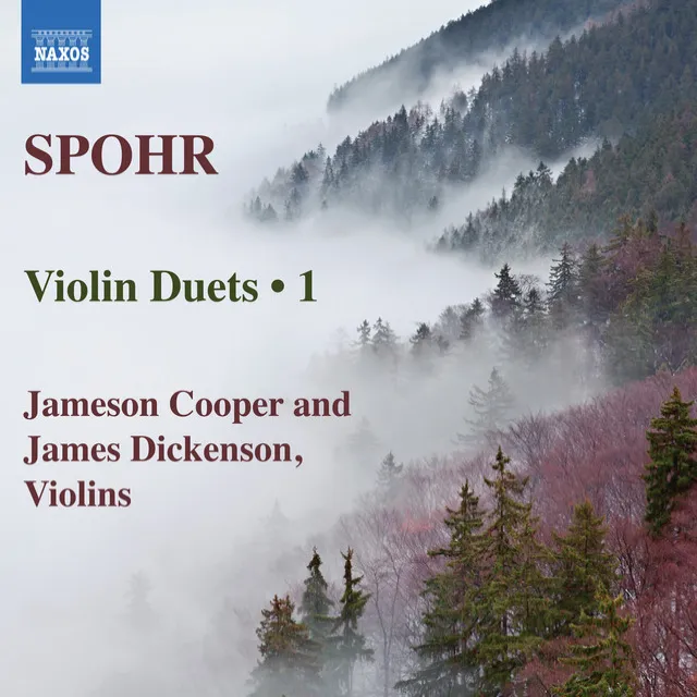 Duo for 2 Violins in D Major, Op. 67 No. 2: II. Larghetto