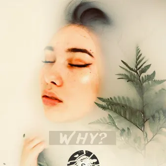 Why by StereoMadness