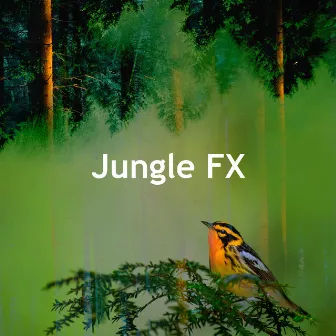 Jungle FX by Amazon Jungle Sounds