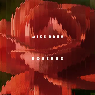 Rosebud by Mike Brun