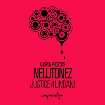 Justice 4 Lindani by Newtonez