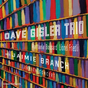 Zurich Concert by Dave Gisler Trio