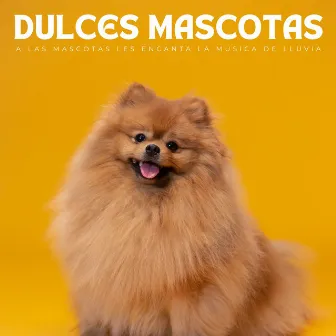 Dulces Mascotas: A Las Mascotas Les Encanta La Música De Lluvia by Terapia de lluvia